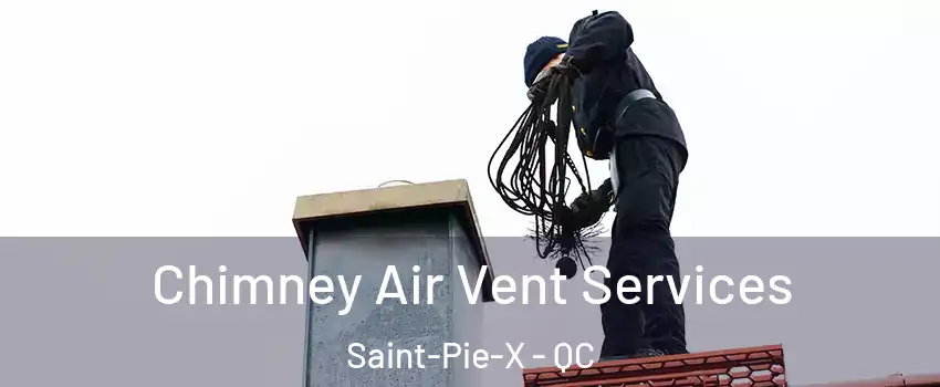  Chimney Air Vent Services Saint-Pie-X - QC