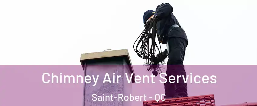  Chimney Air Vent Services Saint-Robert - QC