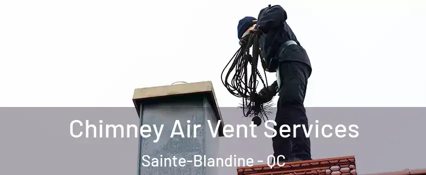  Chimney Air Vent Services Sainte-Blandine - QC