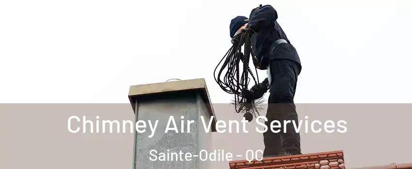 Chimney Air Vent Services Sainte-Odile - QC