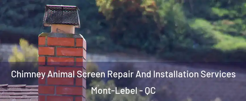  Chimney Animal Screen Repair And Installation Services Mont-Lebel - QC