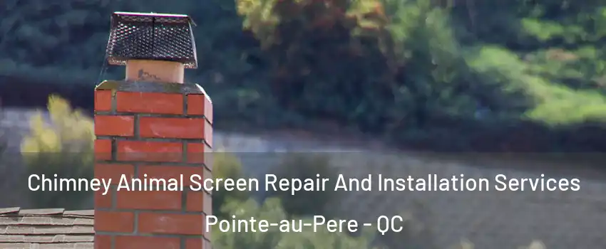  Chimney Animal Screen Repair And Installation Services Pointe-au-Pere - QC