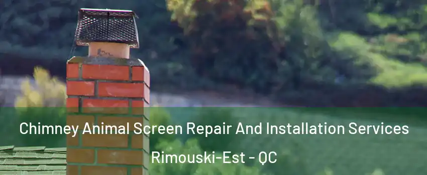  Chimney Animal Screen Repair And Installation Services Rimouski-Est - QC