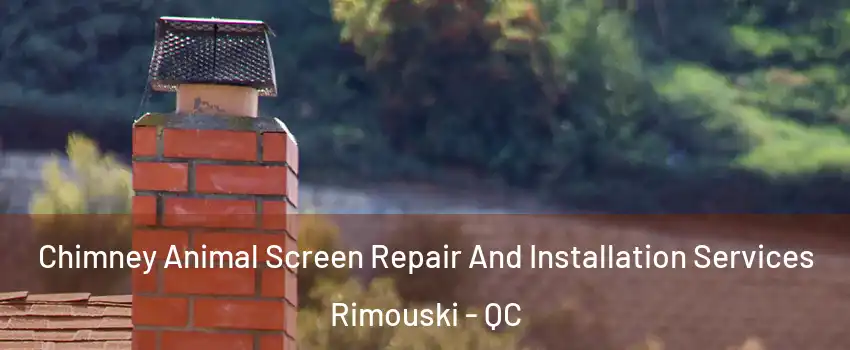  Chimney Animal Screen Repair And Installation Services Rimouski - QC