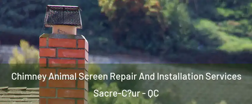  Chimney Animal Screen Repair And Installation Services Sacre-C?ur - QC