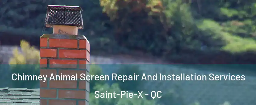  Chimney Animal Screen Repair And Installation Services Saint-Pie-X - QC