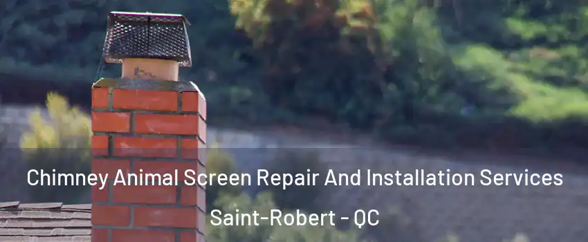  Chimney Animal Screen Repair And Installation Services Saint-Robert - QC