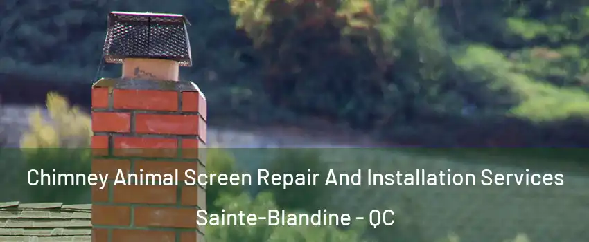  Chimney Animal Screen Repair And Installation Services Sainte-Blandine - QC