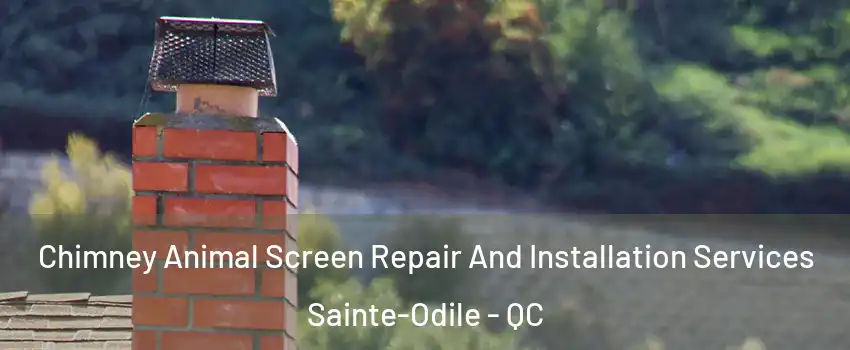  Chimney Animal Screen Repair And Installation Services Sainte-Odile - QC