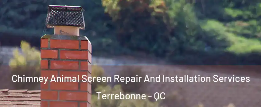  Chimney Animal Screen Repair And Installation Services Terrebonne - QC