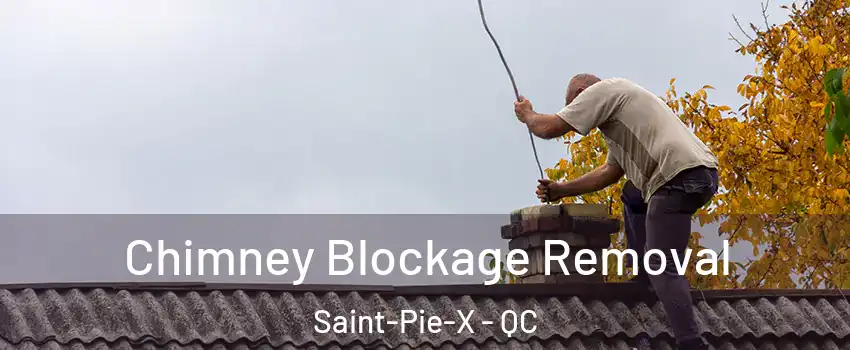  Chimney Blockage Removal Saint-Pie-X - QC