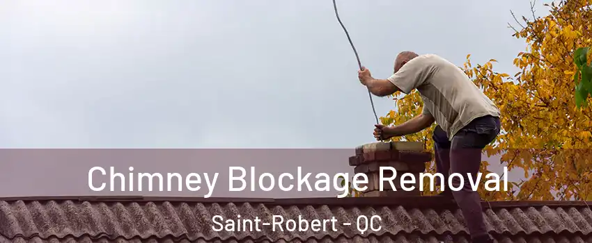  Chimney Blockage Removal Saint-Robert - QC