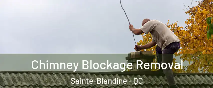  Chimney Blockage Removal Sainte-Blandine - QC