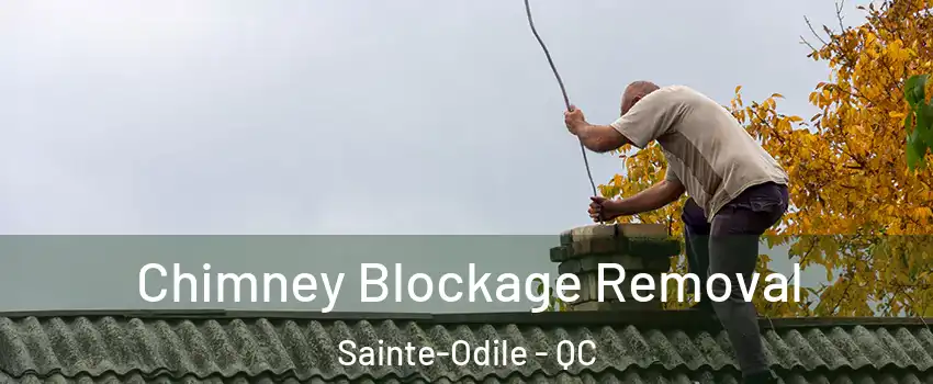  Chimney Blockage Removal Sainte-Odile - QC