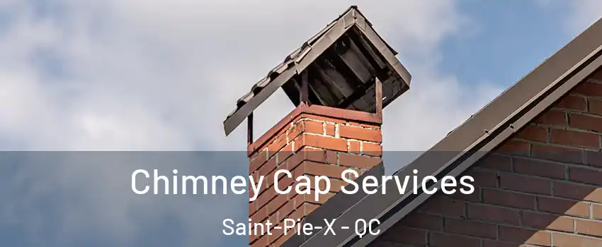  Chimney Cap Services Saint-Pie-X - QC