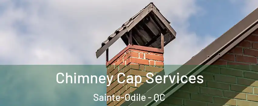  Chimney Cap Services Sainte-Odile - QC