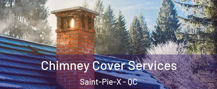  Chimney Cover Services Saint-Pie-X - QC