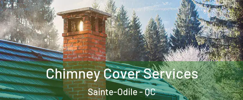  Chimney Cover Services Sainte-Odile - QC