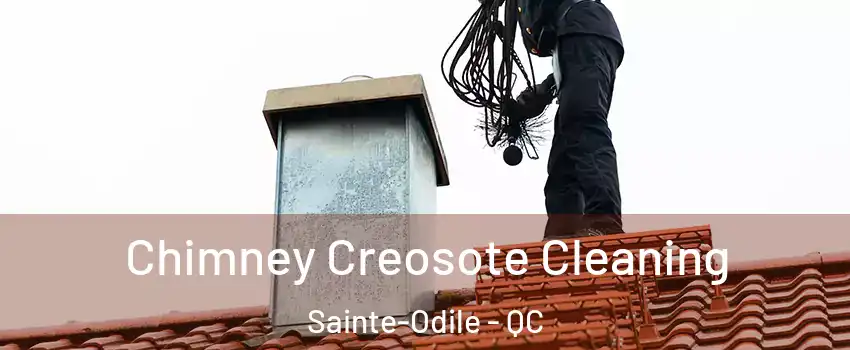  Chimney Creosote Cleaning Sainte-Odile - QC