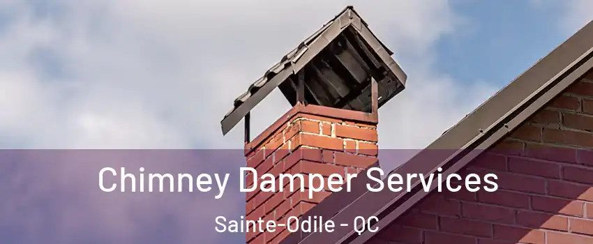  Chimney Damper Services Sainte-Odile - QC