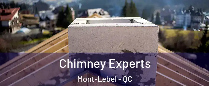  Chimney Experts Mont-Lebel - QC