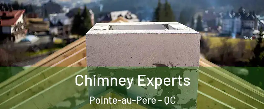  Chimney Experts Pointe-au-Pere - QC