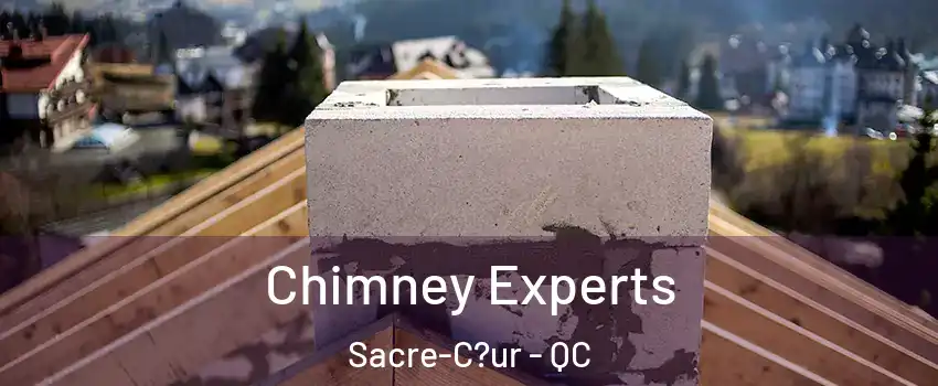  Chimney Experts Sacre-C?ur - QC