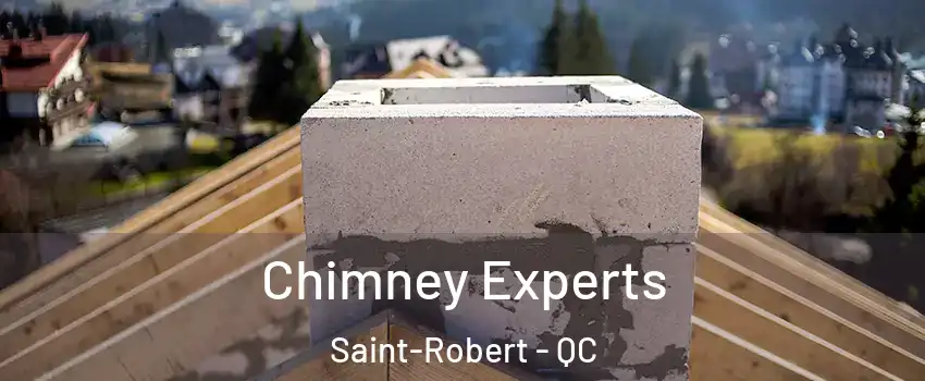  Chimney Experts Saint-Robert - QC