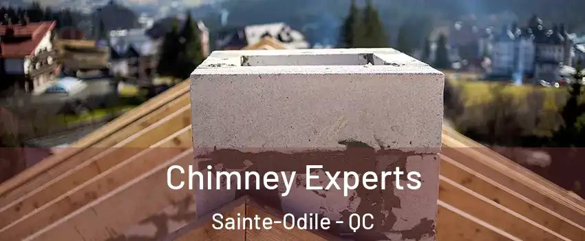  Chimney Experts Sainte-Odile - QC