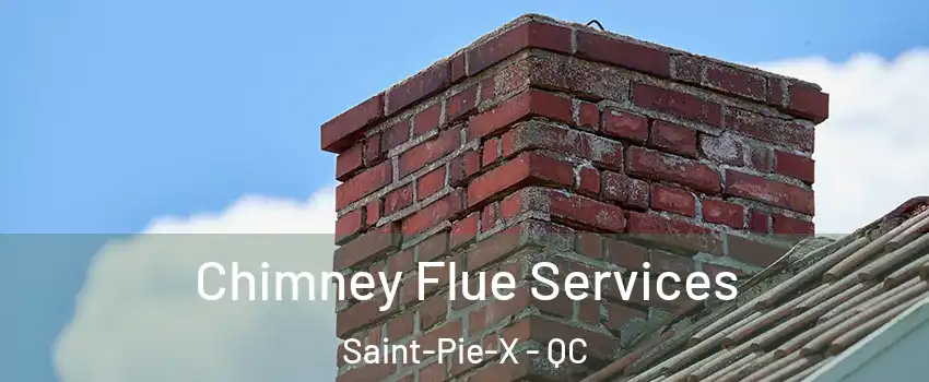  Chimney Flue Services Saint-Pie-X - QC
