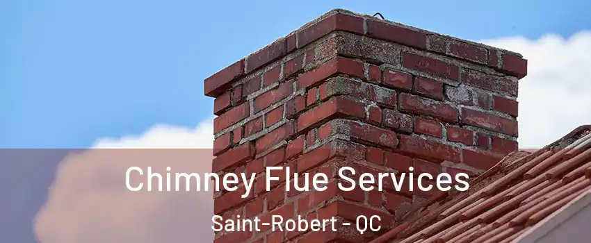  Chimney Flue Services Saint-Robert - QC