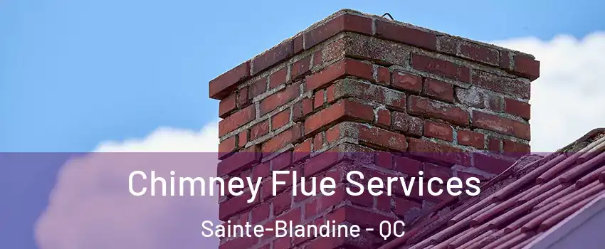  Chimney Flue Services Sainte-Blandine - QC