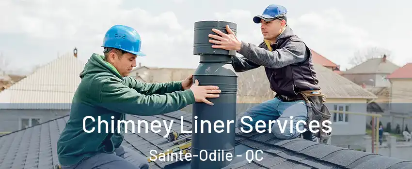  Chimney Liner Services Sainte-Odile - QC