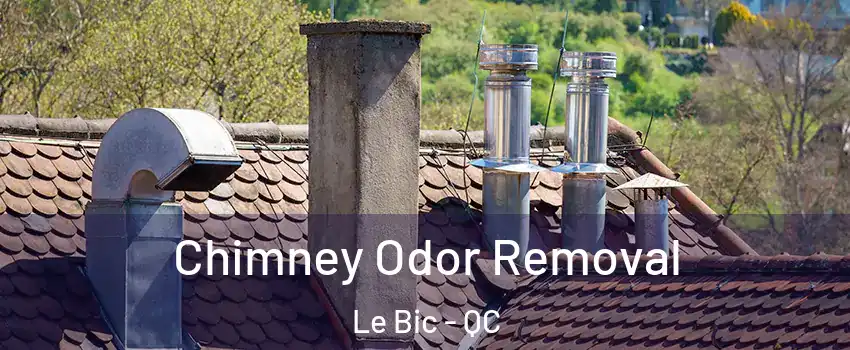  Chimney Odor Removal Le Bic - QC