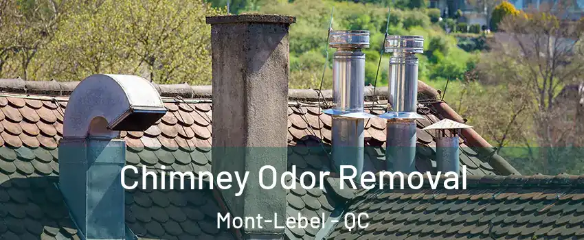  Chimney Odor Removal Mont-Lebel - QC
