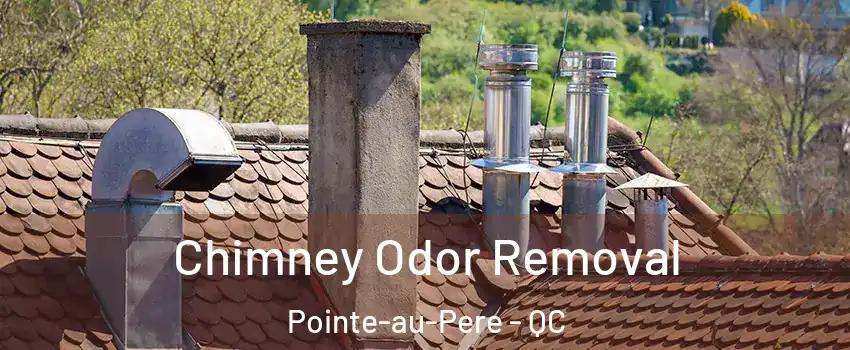  Chimney Odor Removal Pointe-au-Pere - QC