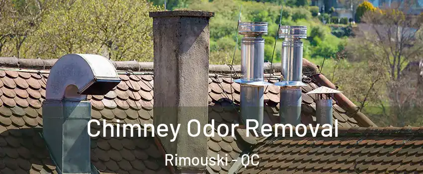  Chimney Odor Removal Rimouski - QC