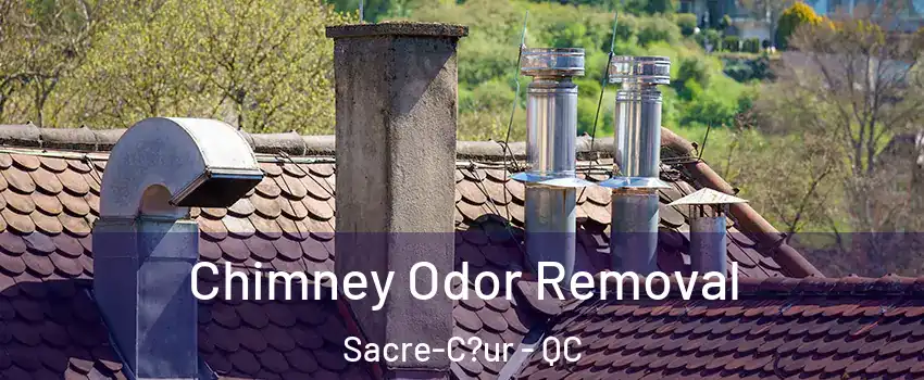  Chimney Odor Removal Sacre-C?ur - QC