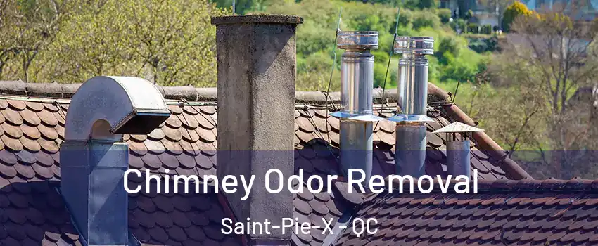  Chimney Odor Removal Saint-Pie-X - QC