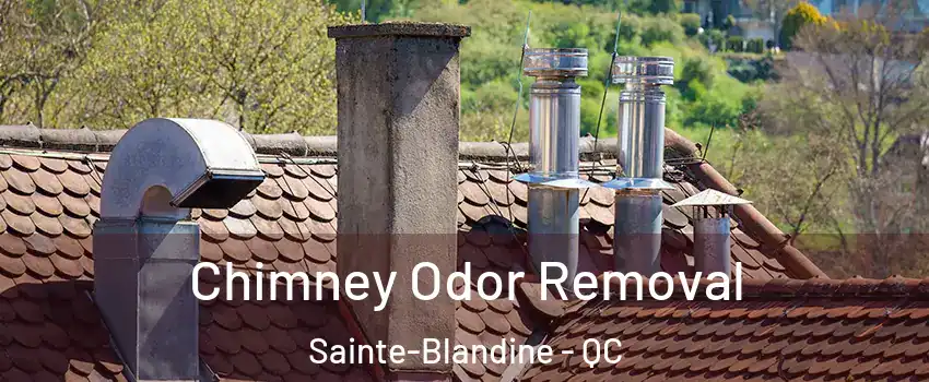  Chimney Odor Removal Sainte-Blandine - QC