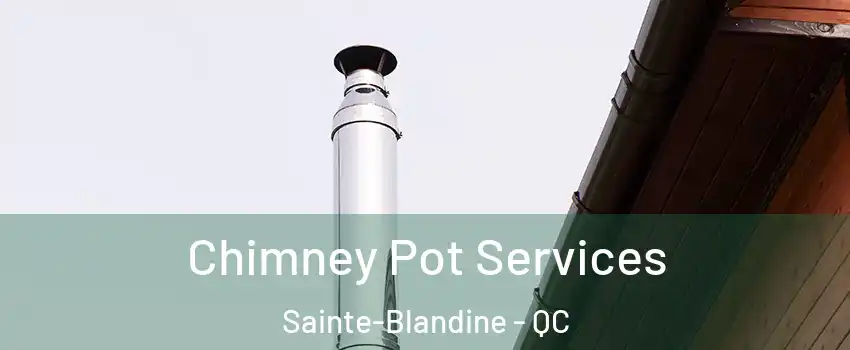  Chimney Pot Services Sainte-Blandine - QC