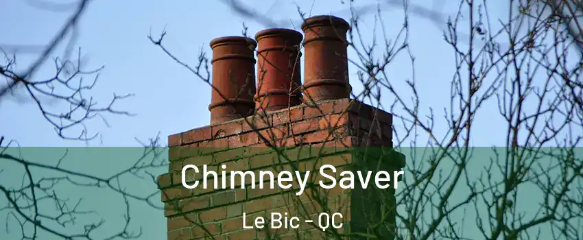  Chimney Saver Le Bic - QC