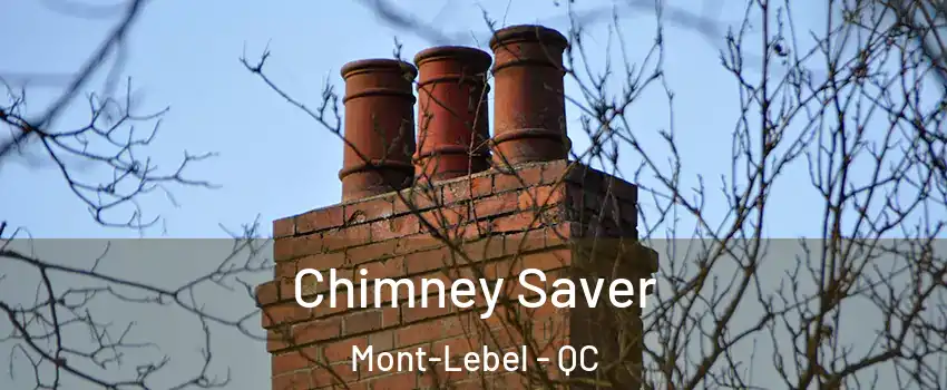  Chimney Saver Mont-Lebel - QC