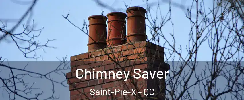  Chimney Saver Saint-Pie-X - QC