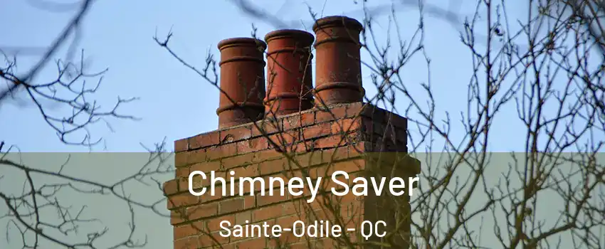  Chimney Saver Sainte-Odile - QC