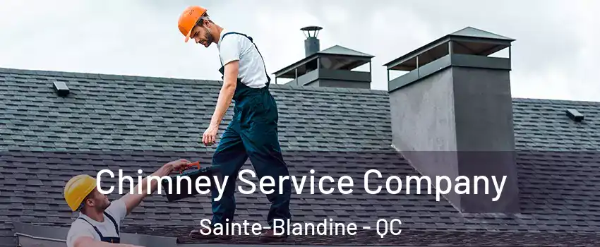  Chimney Service Company Sainte-Blandine - QC