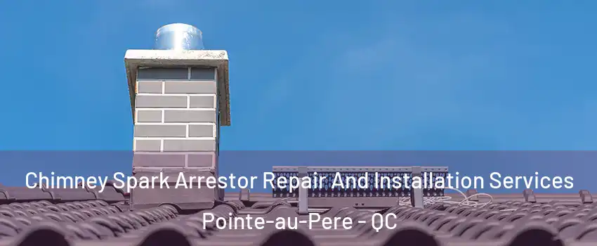  Chimney Spark Arrestor Repair And Installation Services Pointe-au-Pere - QC