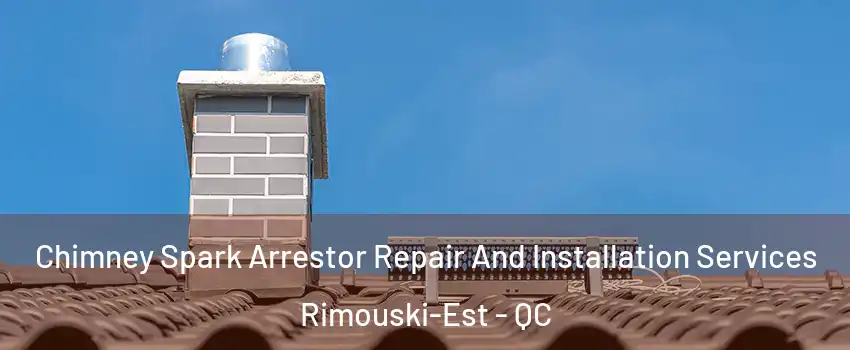  Chimney Spark Arrestor Repair And Installation Services Rimouski-Est - QC