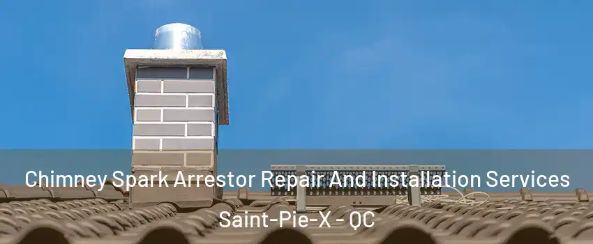  Chimney Spark Arrestor Repair And Installation Services Saint-Pie-X - QC
