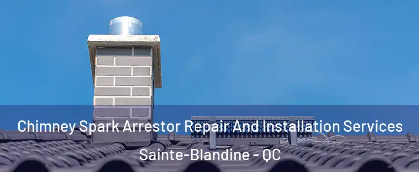  Chimney Spark Arrestor Repair And Installation Services Sainte-Blandine - QC